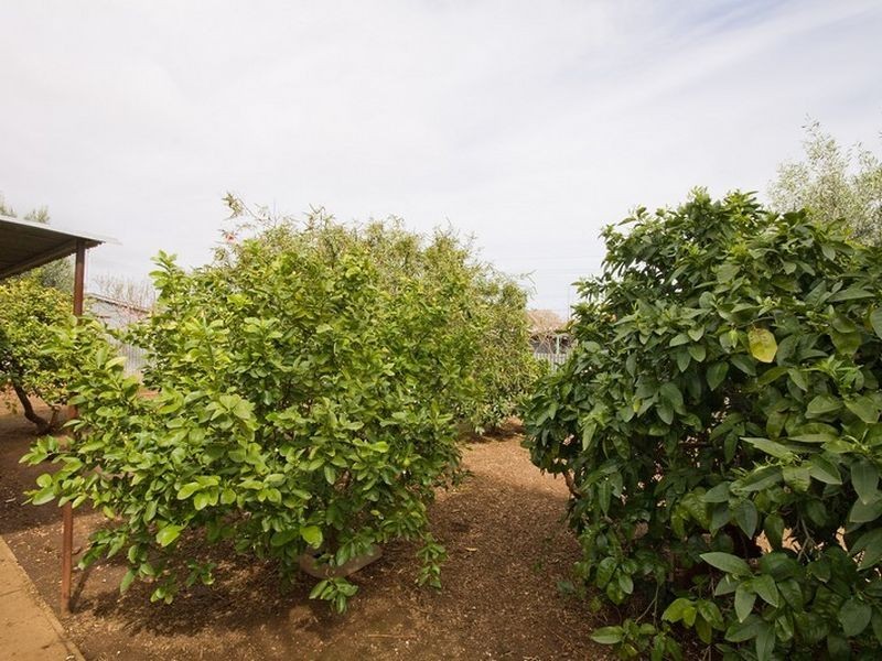 24 Woodland Road, Mitchell Park SA 5043