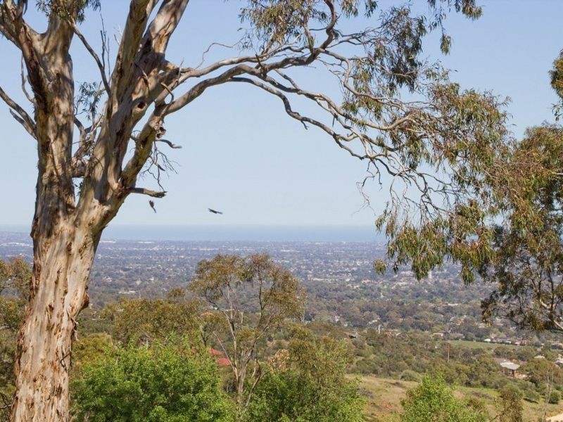 30 Ridgeland Drive, Teringie SA 5072