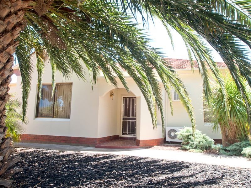 19 Lindsay Avenue, Edwardstown SA 5039