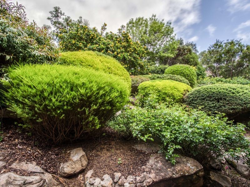 13 The Parkway, Aberfoyle Park SA 5159
