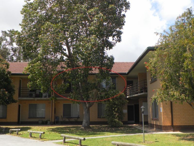 8/29 Gordon Road, Clarence Park SA 5034