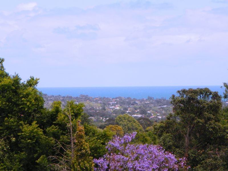 11 Redgum Drive, Pasadena SA 5042