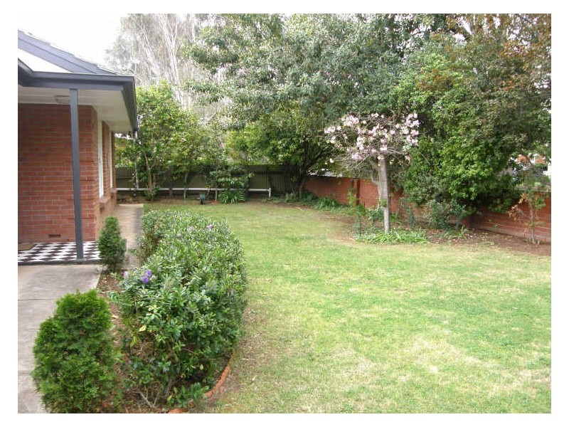 6 Cameron Road, Hawthorn SA 5062