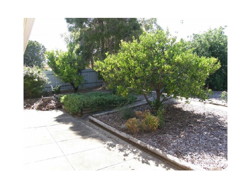 3 Ashby Avenue, Highbury SA 5089