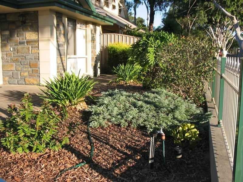 20 Uxbridge Street, Kensington Park SA 5068
