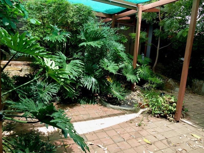 23 Penfold Street, Bedford Park SA 5042