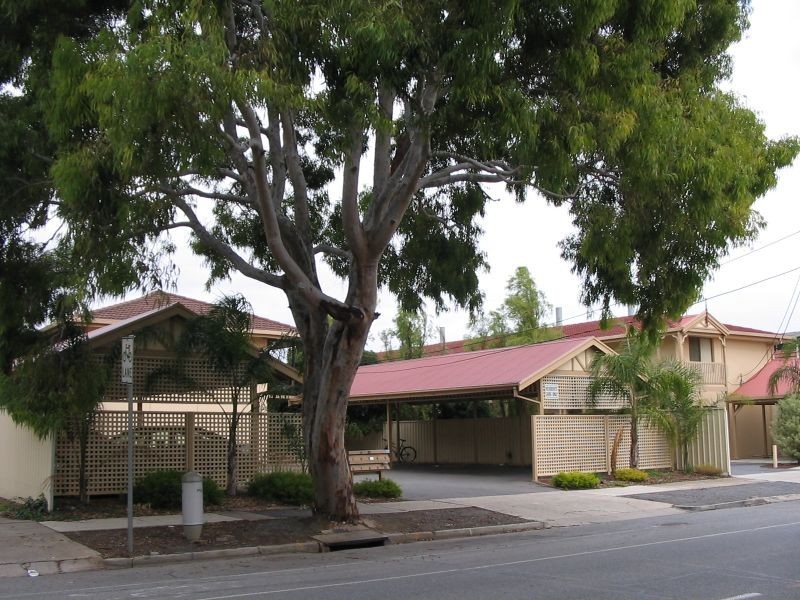 8/31 Everard Avenue, Ashford SA 5035