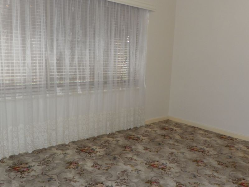 50 Avenue Road, Cumberland Park SA 5041