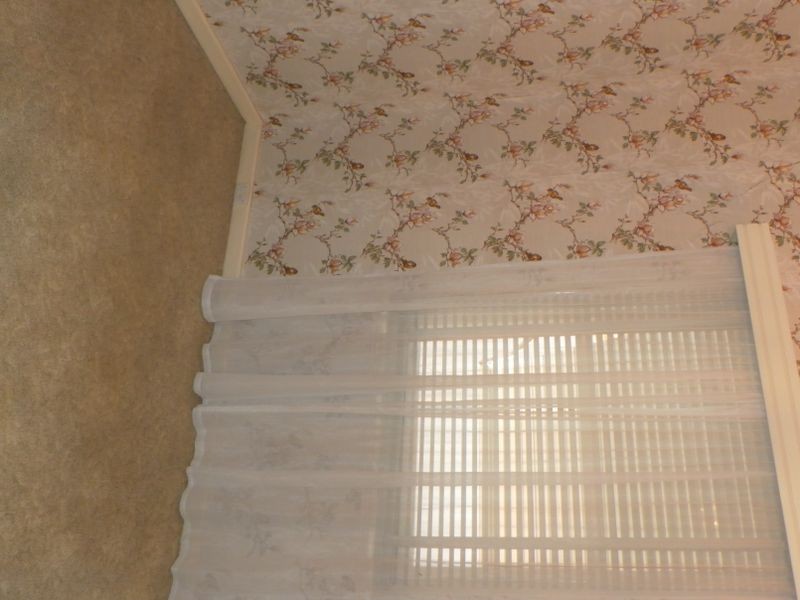 50 Avenue Road, Cumberland Park SA 5041