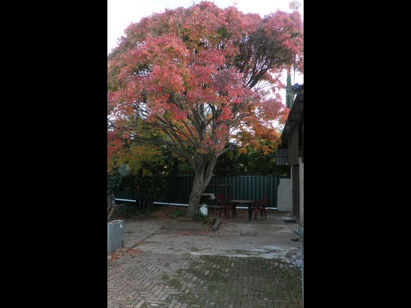 5 Corunna Avenue, Colonel Light Gardens SA 5041