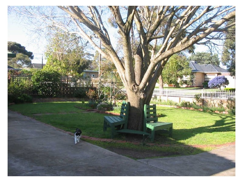 24 Adam Ave, Bellevue Heights SA 5050