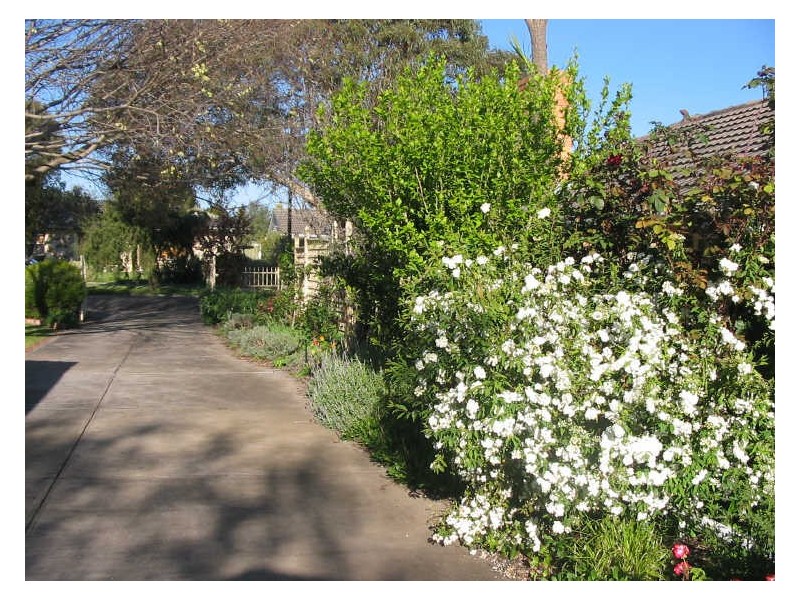 24 Adam Ave, Bellevue Heights SA 5050