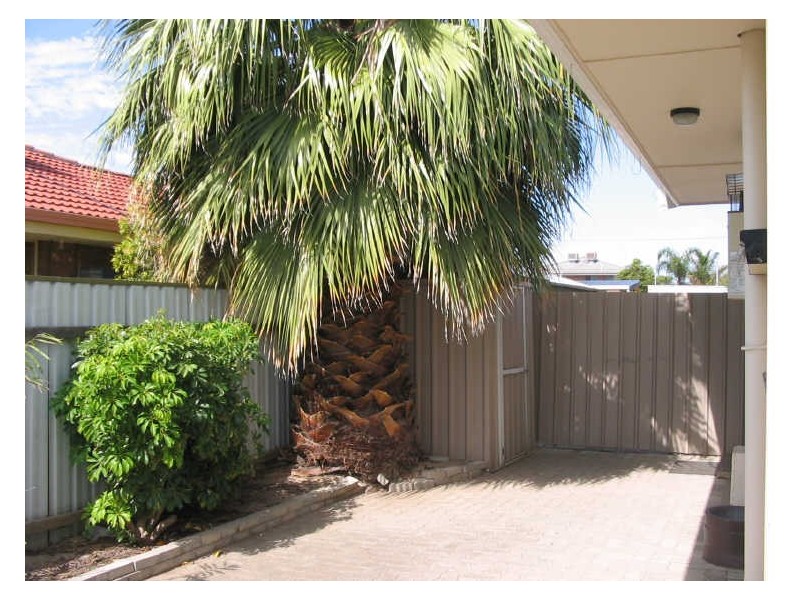6/19 Fourth Avenue, Ascot Park SA 5043