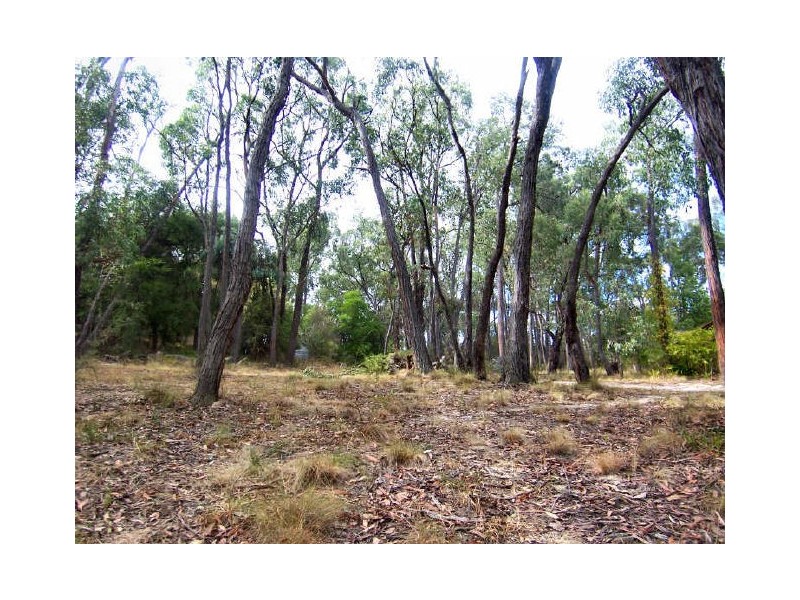 Healesville VIC 3777