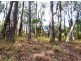 Healesville VIC 3777