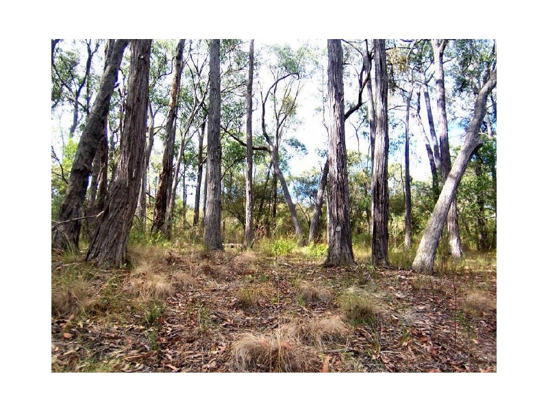 Healesville VIC 3777
