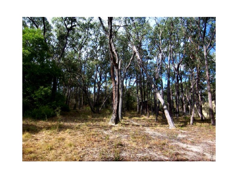 Healesville VIC 3777
