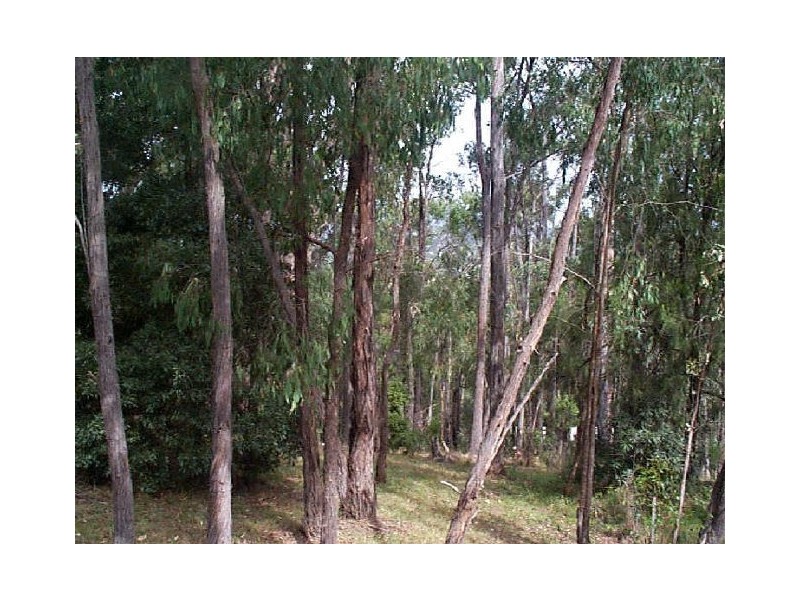 Healesville VIC 3777
