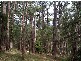 Healesville VIC 3777