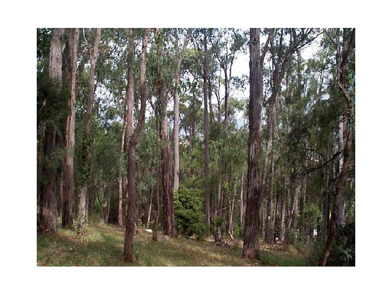 Healesville VIC 3777