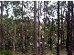 Healesville VIC 3777