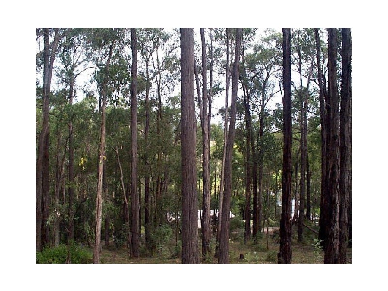 Healesville VIC 3777
