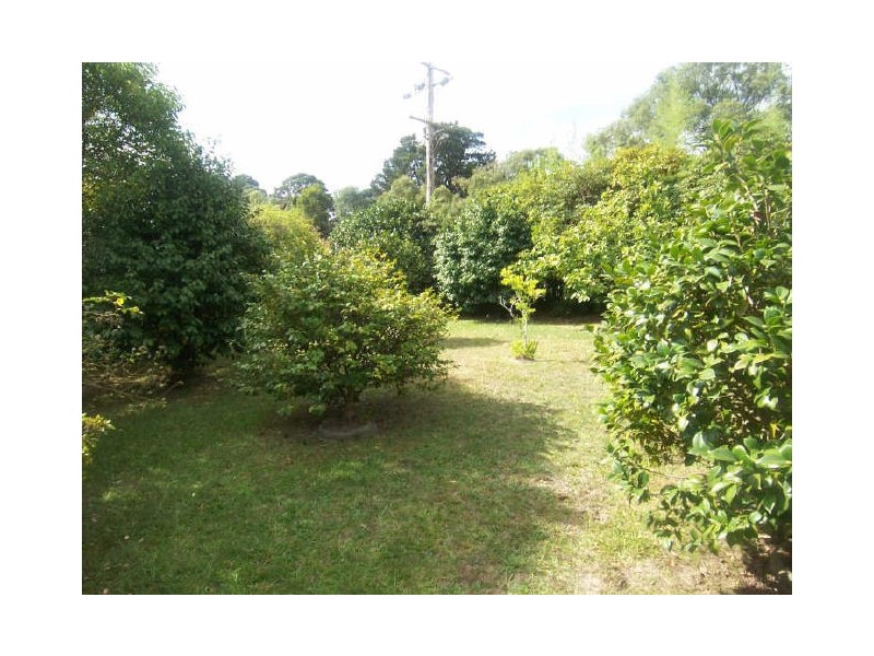 302 Don Road, Healesville VIC 3777