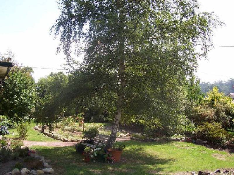 130 Wallace Parade, Healesville VIC 3777