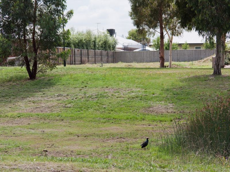 36 Sparrowhawk Road, Doreen VIC 3754