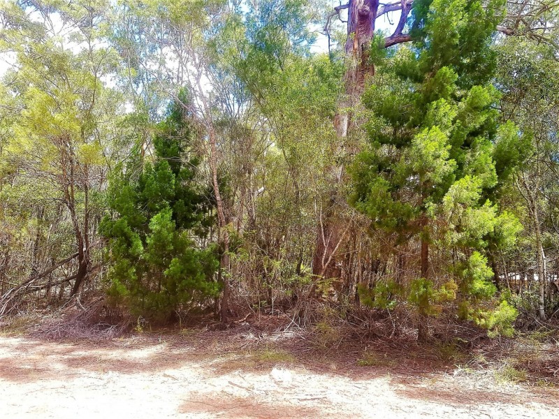 12 Catamaran Street, Russell Island QLD 4184