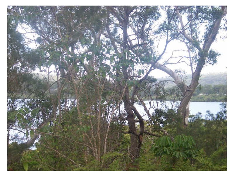 7 Bay Drive, Russell Island QLD 4184