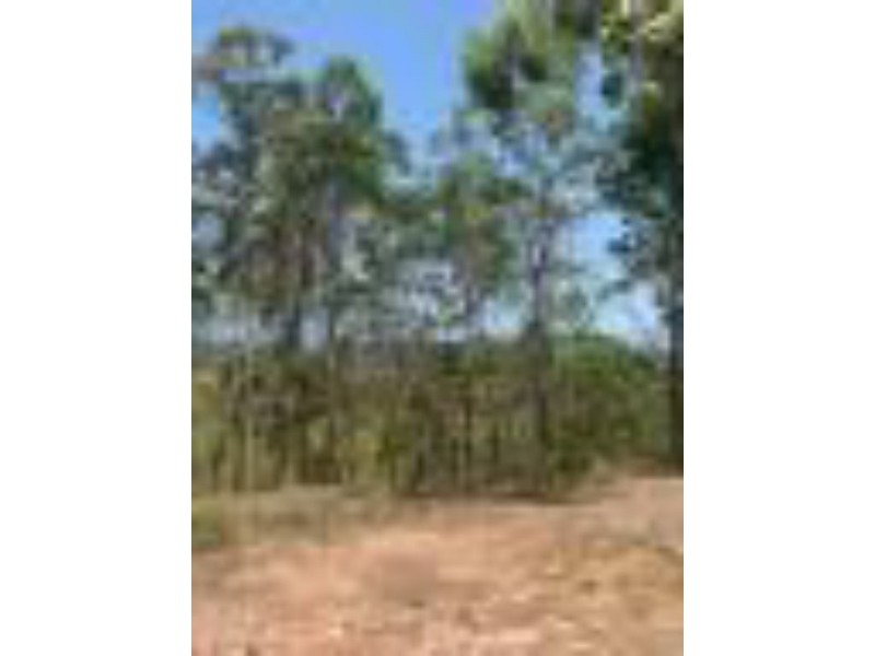 41 Aquamarine Ave, Russell Island QLD 4184