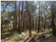 65 Kennedy Ave, Russell Island QLD 4184