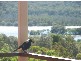 22 Moreton Outlook, Russell Island QLD 4184