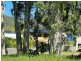 16 Zephyr Street, Russell Island QLD 4184