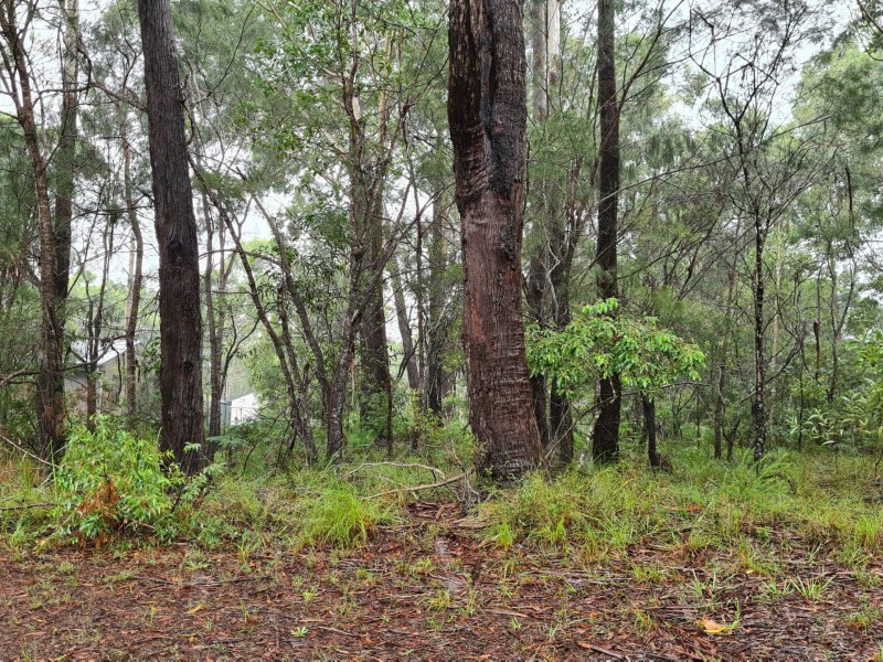 35 Dickenson, Russell Island QLD 4184