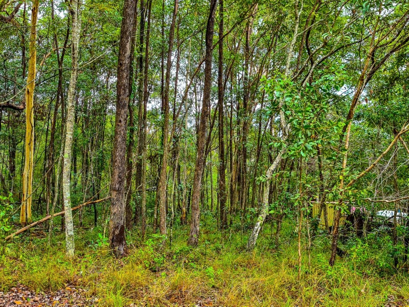 58 Burke Avenue, Russell Island QLD 4184