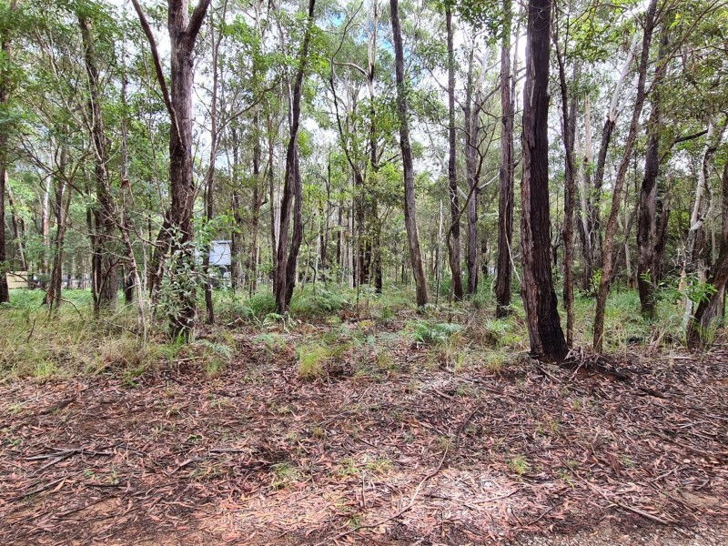 18 Coombah Drive, Russell Island QLD 4184