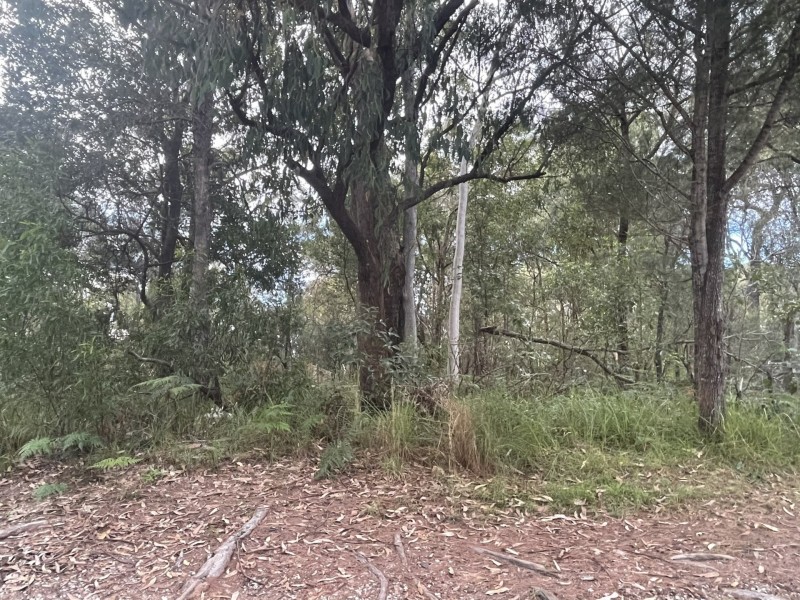 31 Kennedy Ave, Russell Island QLD 4184