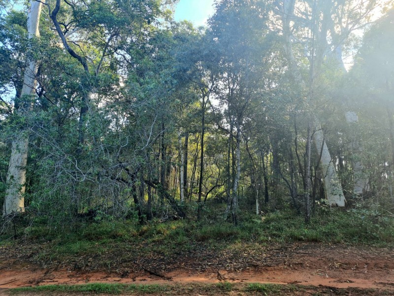 55 Cunningham Avenue, Russell Island QLD 4184