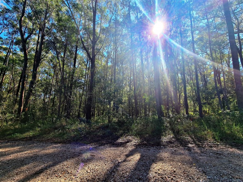 5 Sunhaven Road, Russell Island QLD 4184