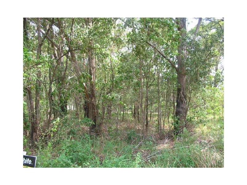 46 Taylor Street, Russell Island QLD 4184