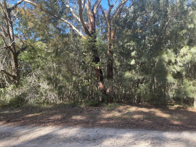 28 Zinnia Street, Russell Island QLD 4184