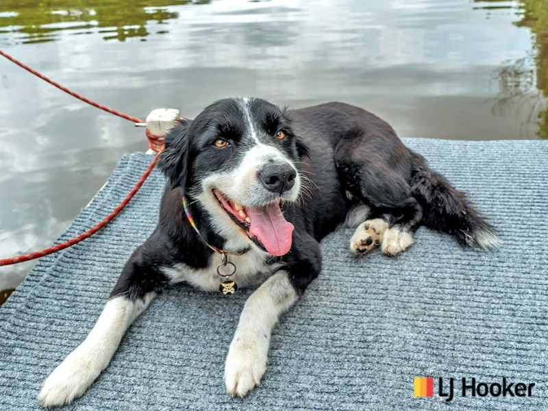 14 Laurel Street, Russell Island QLD 4184