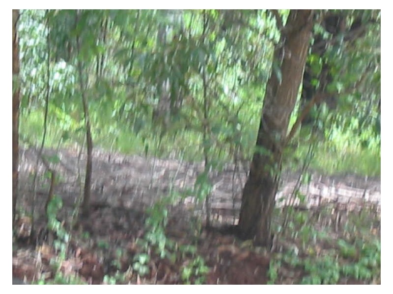 66 Hume st, Russell Island QLD 4184