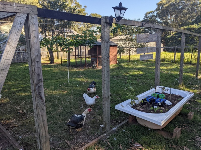 90 Jackson, Russell Island QLD 4184