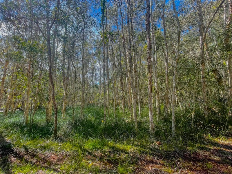 4 Boeing Ridge Rd, Russell Island QLD 4184