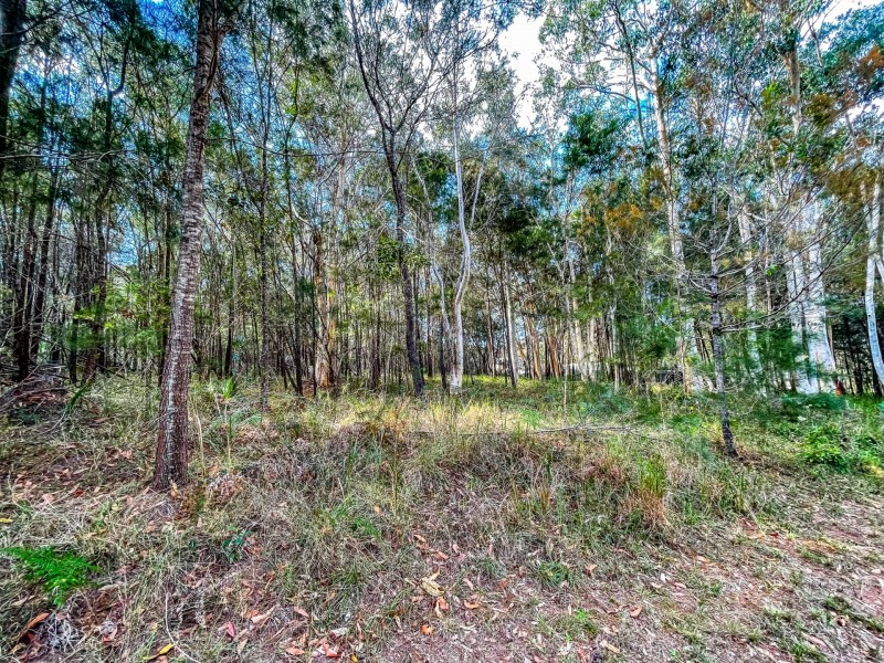 11 Delmar Pde, Russell Island QLD 4184