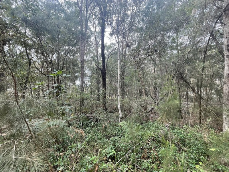 18 Belgrave Road, Russell Island QLD 4184