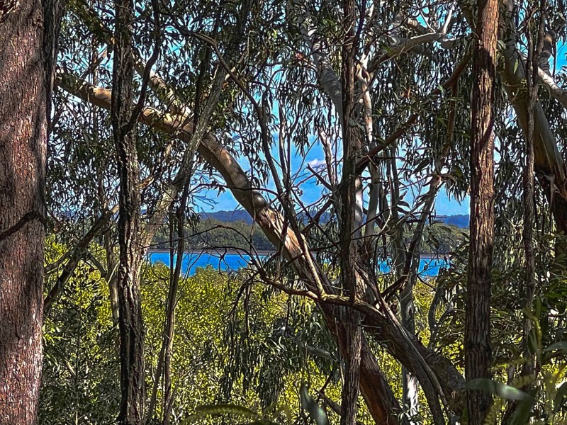 130 Laurel Street, Russell Island QLD 4184